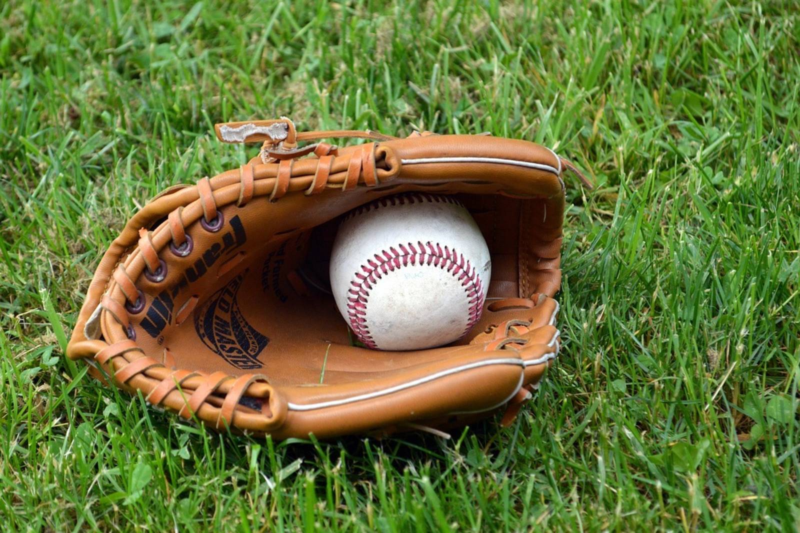 你對樂樂棒球瞭解多少