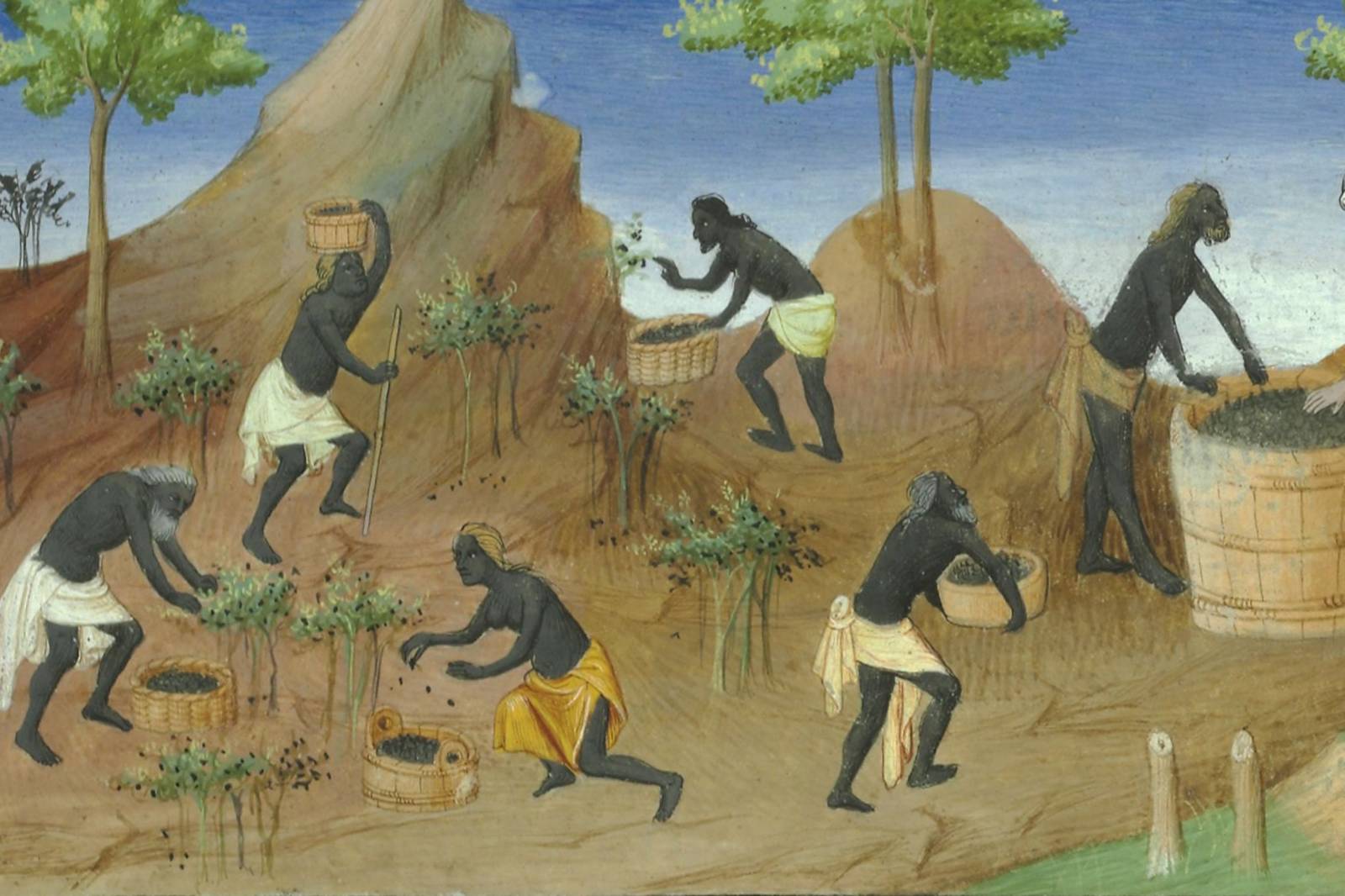 運動種類 無奇不有