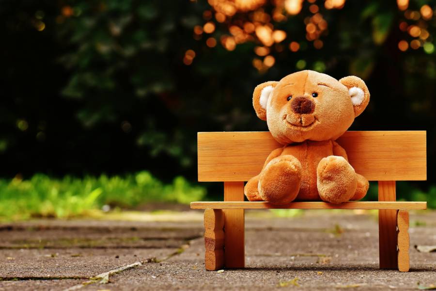 托育安全/校園門禁管理