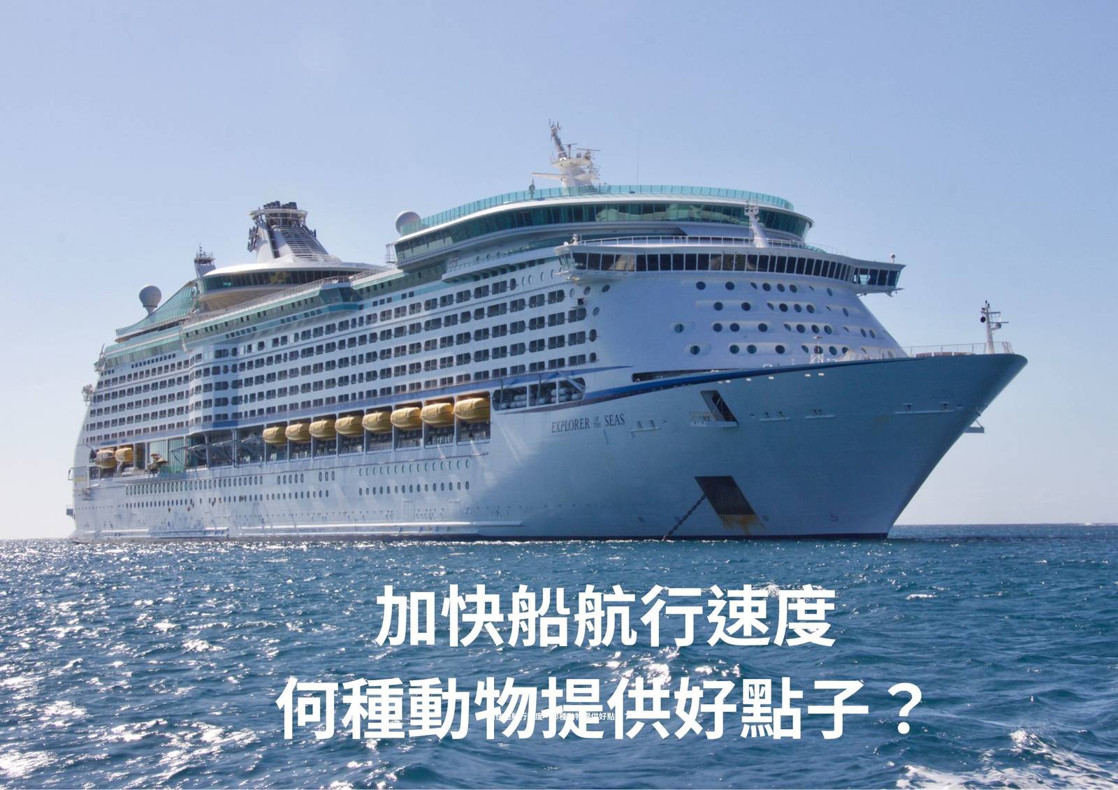 加快船航行速度，那種動物提供好點子？