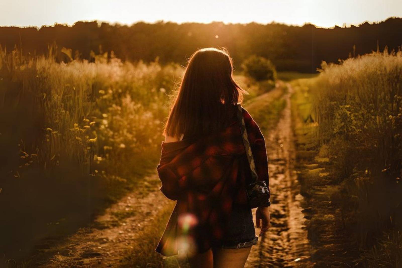 有型的豬小姐 不悔的愛與勇氣