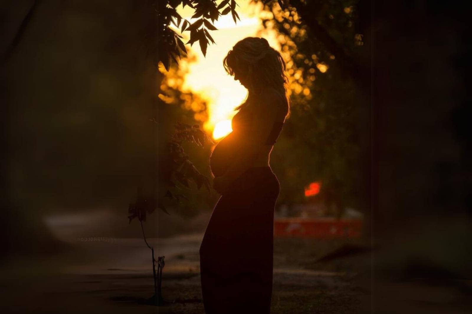 細語中的堅韌 母愛的絕美無畏