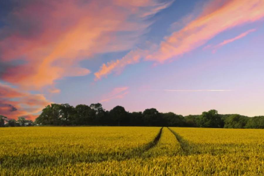 旅行的回音來自內心