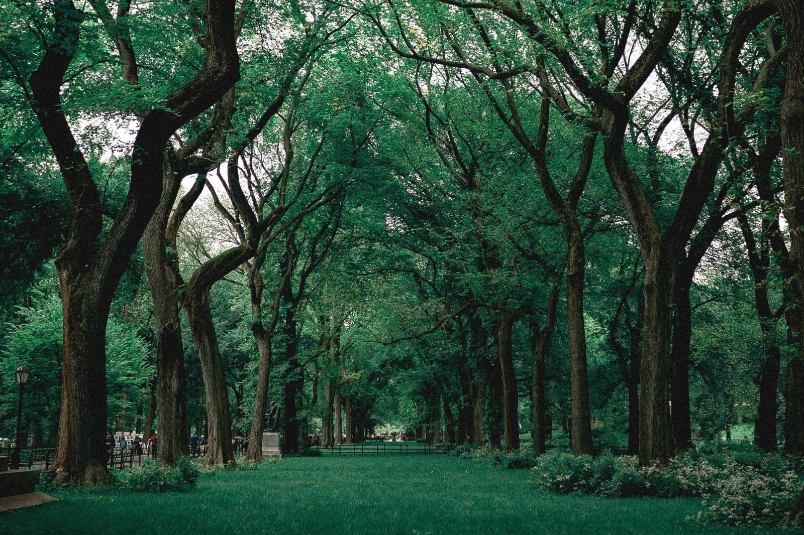 正宗原汁的台語氣口01