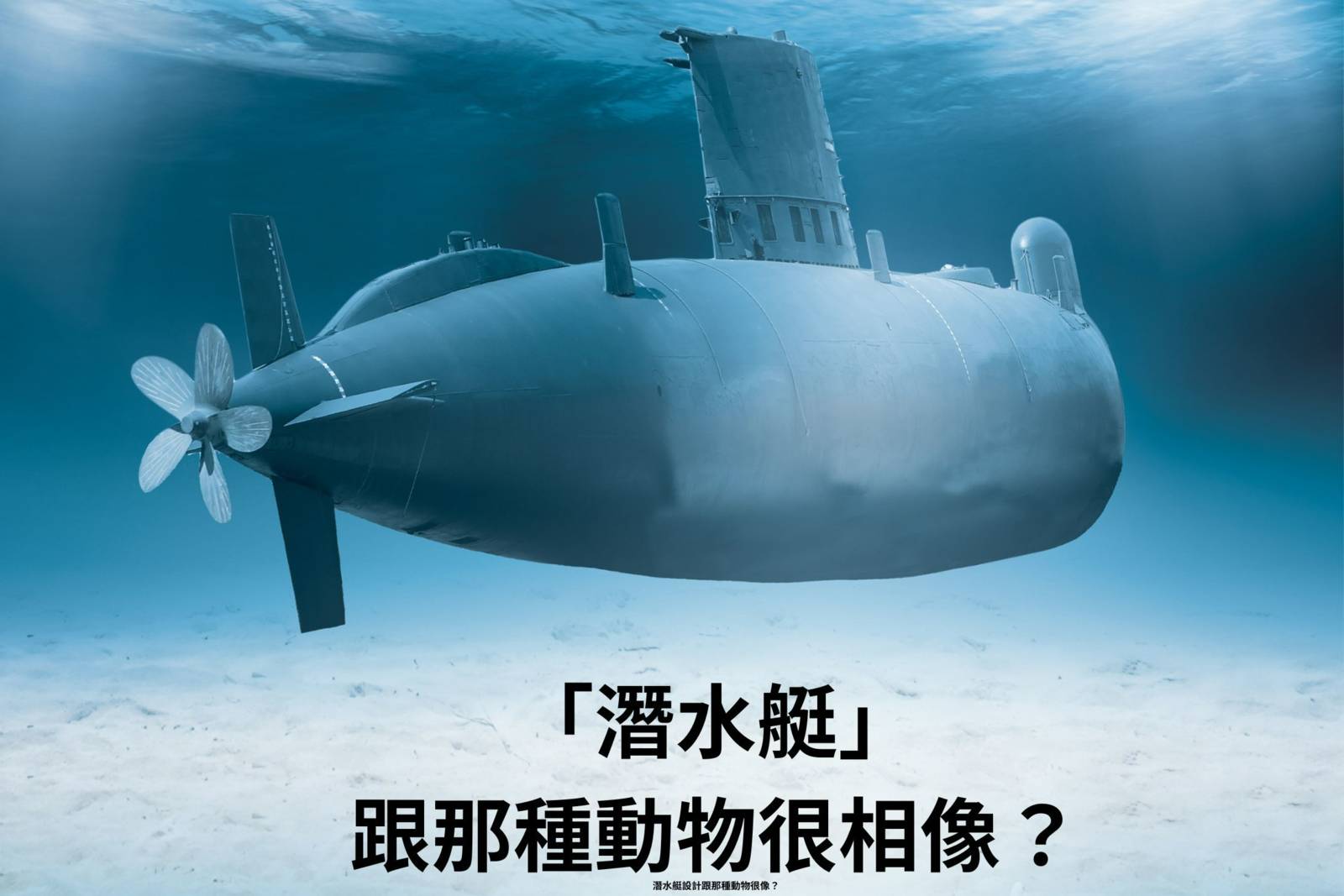 潛水艇設計，來自那種動物的好點子？