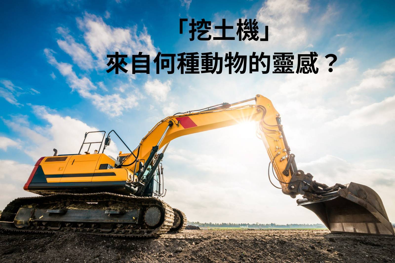 挖土機來自於何種動物的靈感？