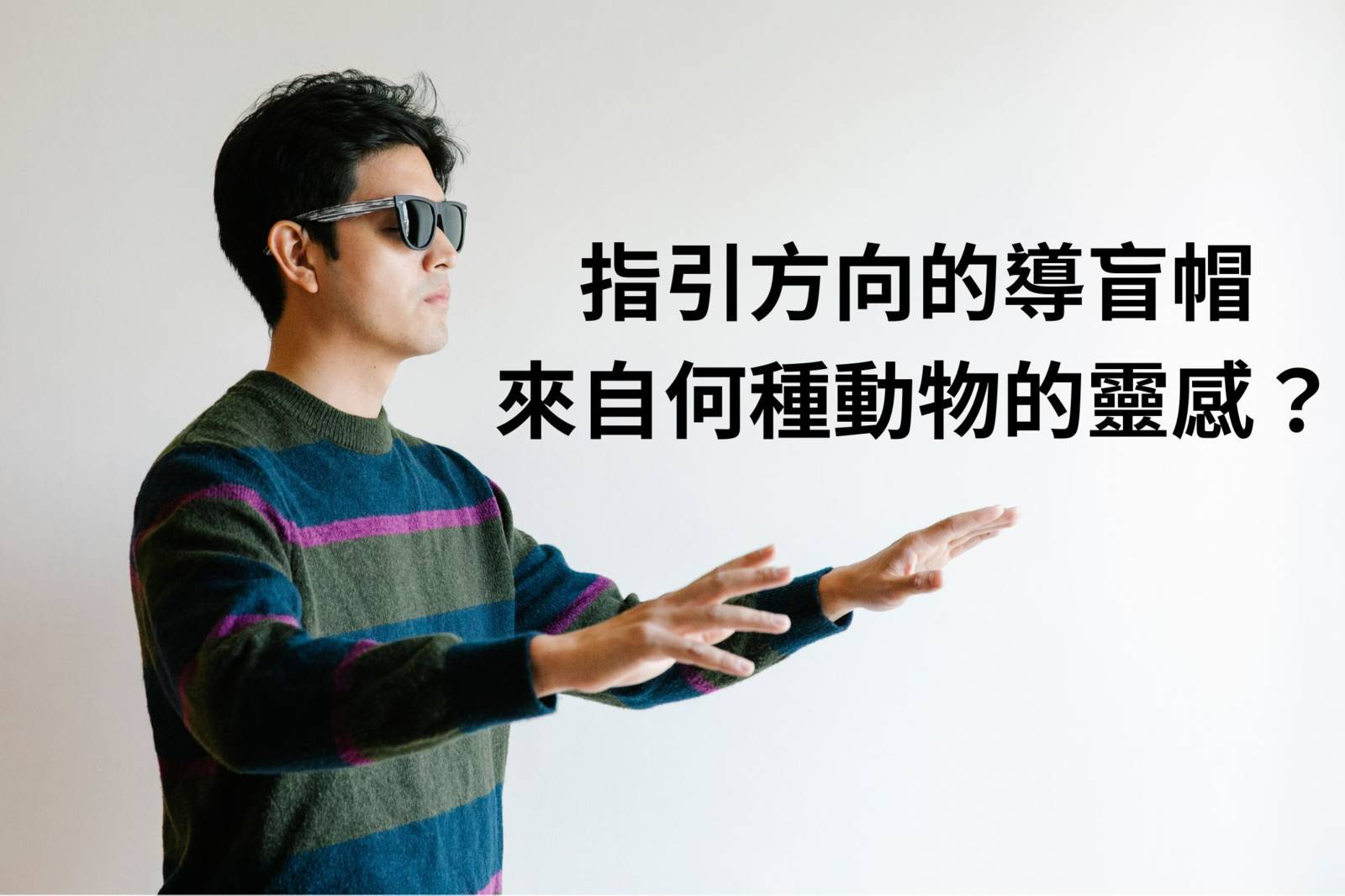 為視障朋友指引方向的導盲帽，來自於那種動物的靈感？