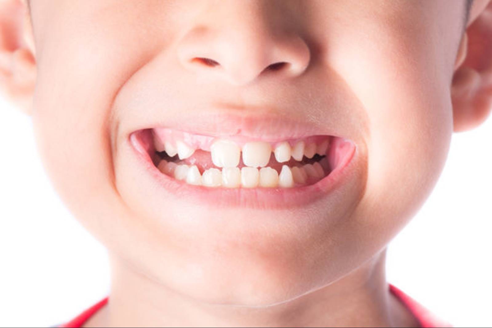 牙齒的生長速度