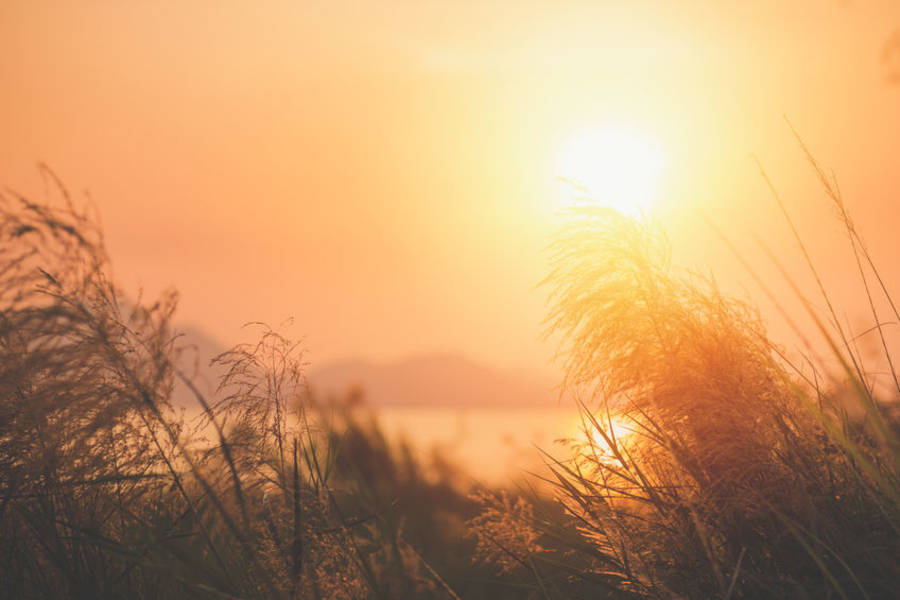 身心調適假是面對自己的開始