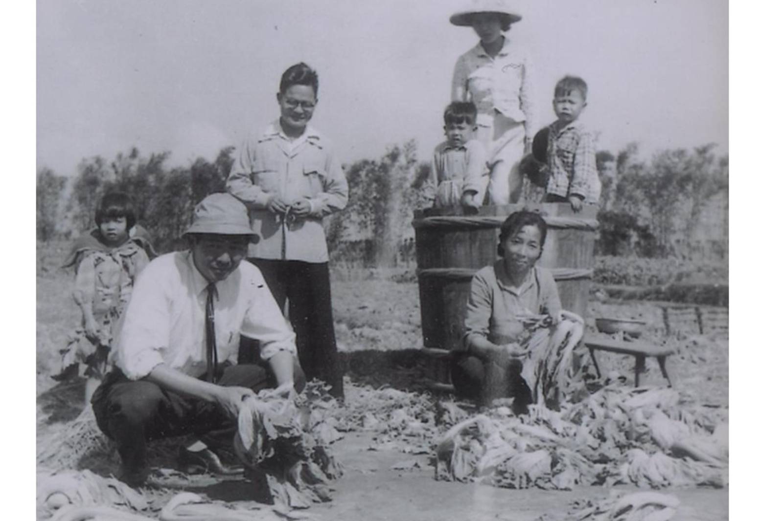 SDGs12永續的消費和生產概念-客家福菜