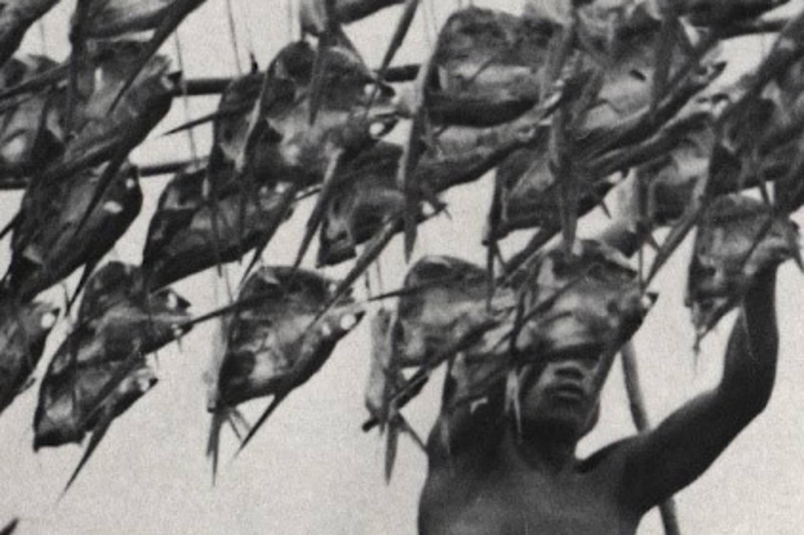 達悟拼板舟 飛魚