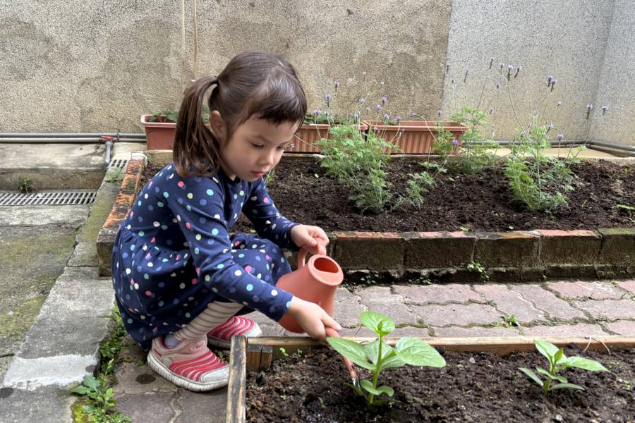 乾淨水源的重要性