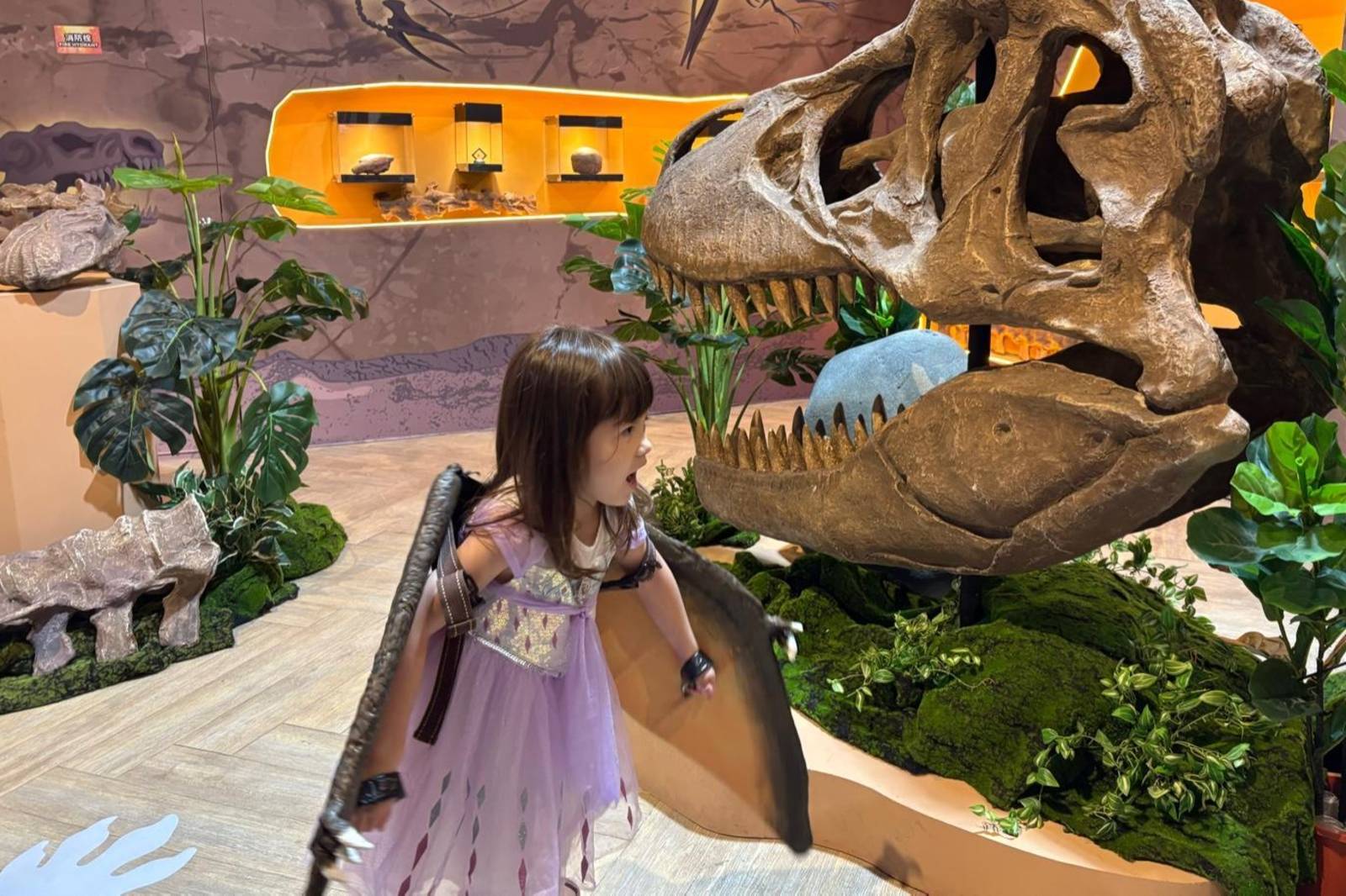 歷史與現今的物種滅絕