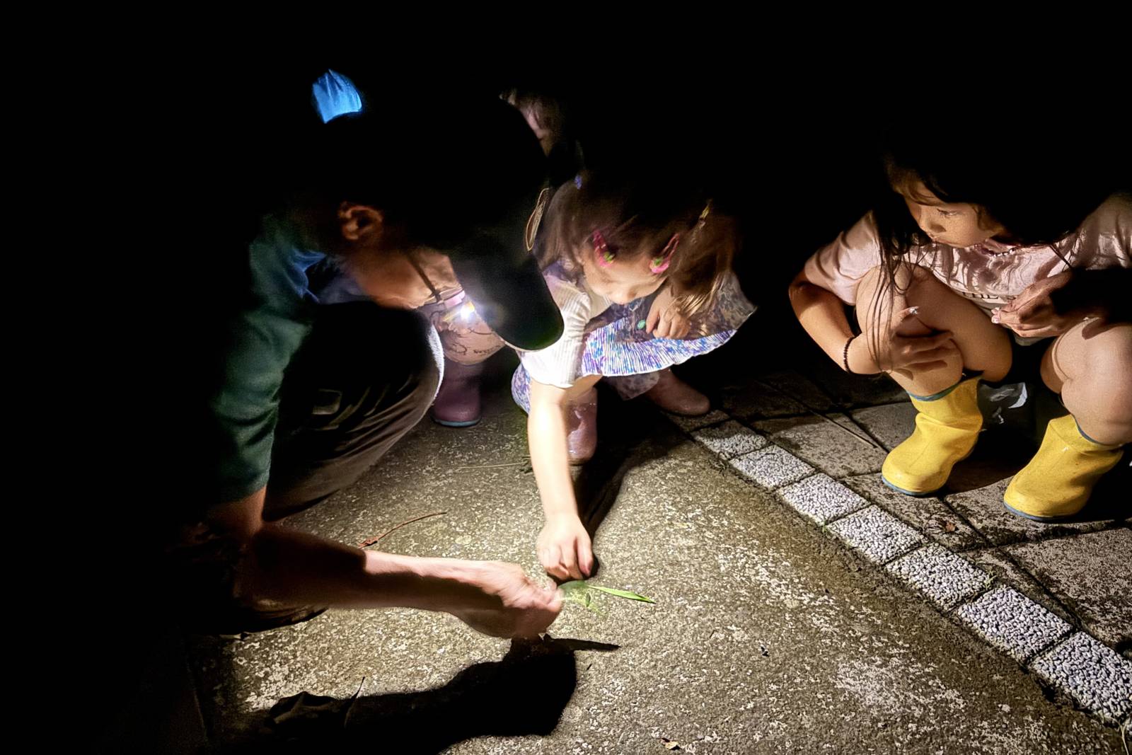 生物多樣性與守護責任