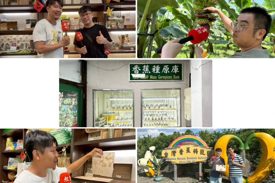 來自一根香蕉的啟示