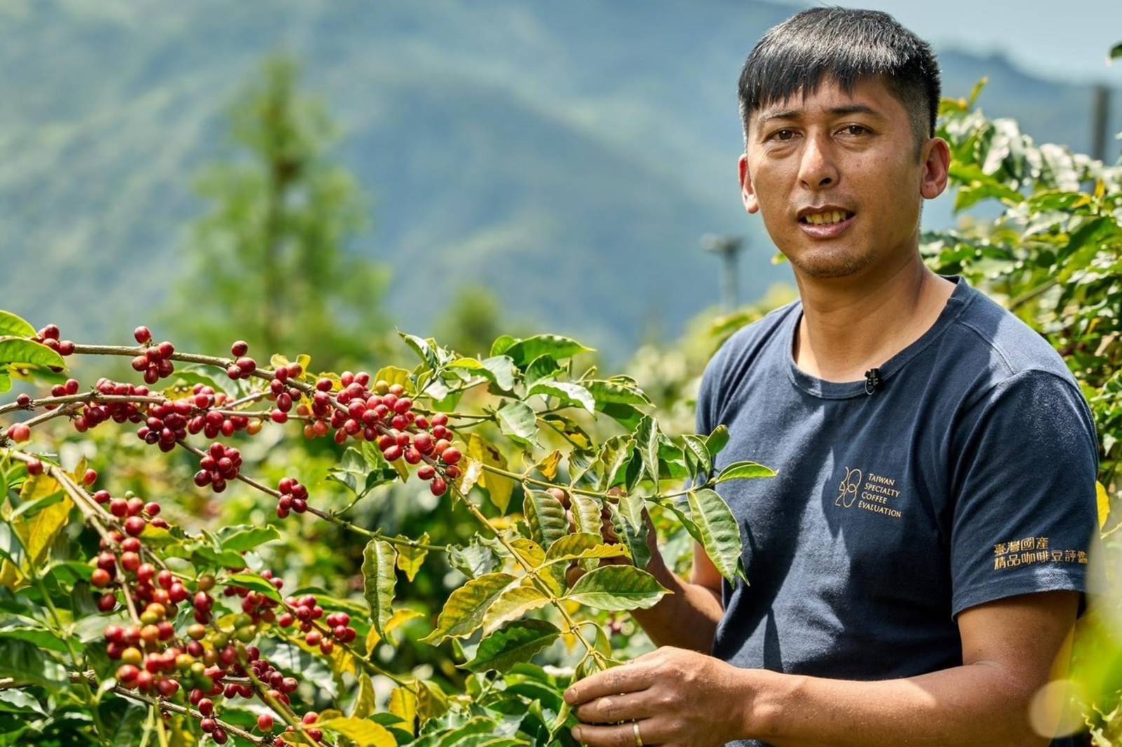 得天獨厚的阿里山咖啡