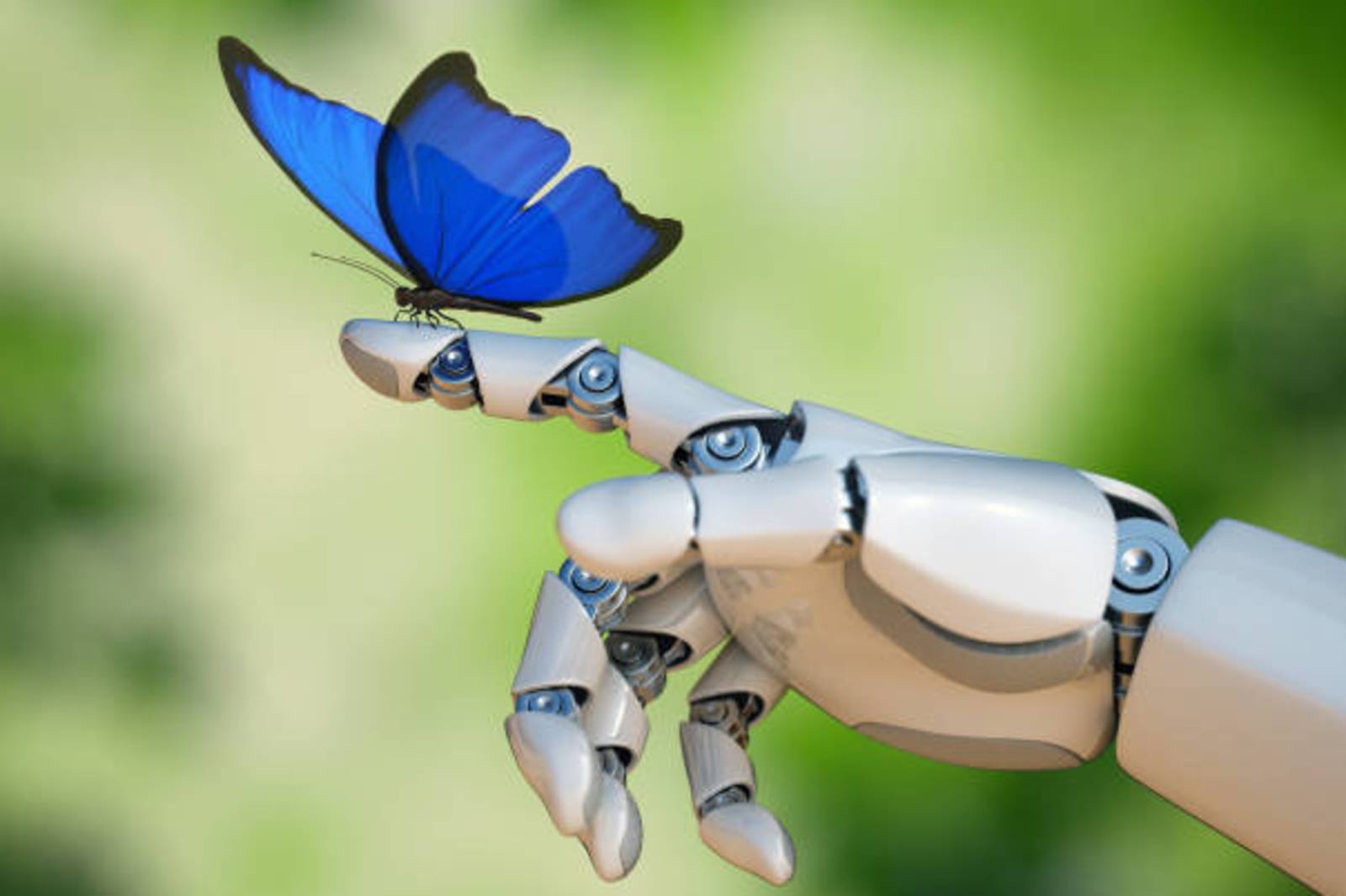 仿生翅 與 機械鳥