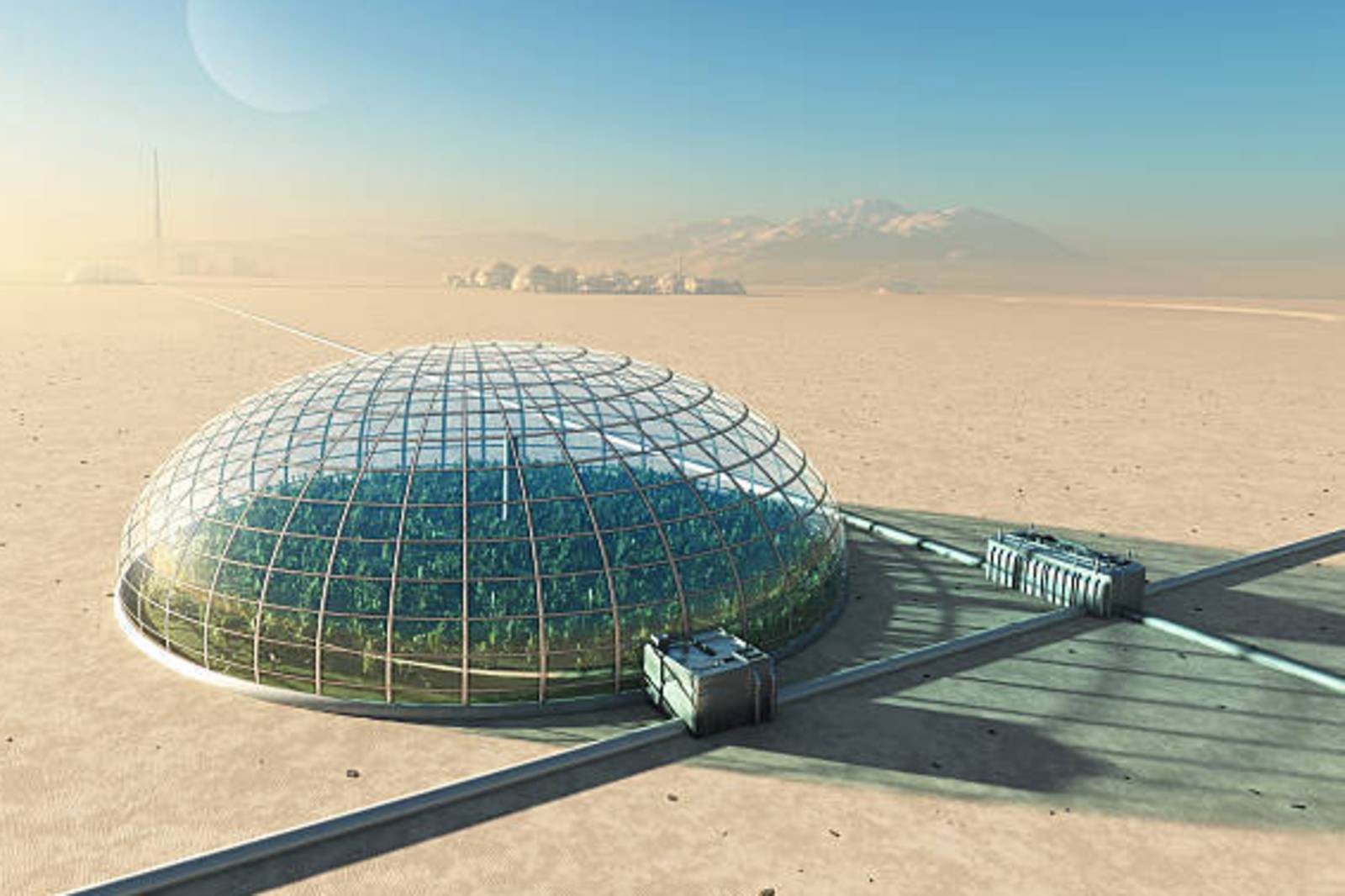 星球農場 - 太空種菜記