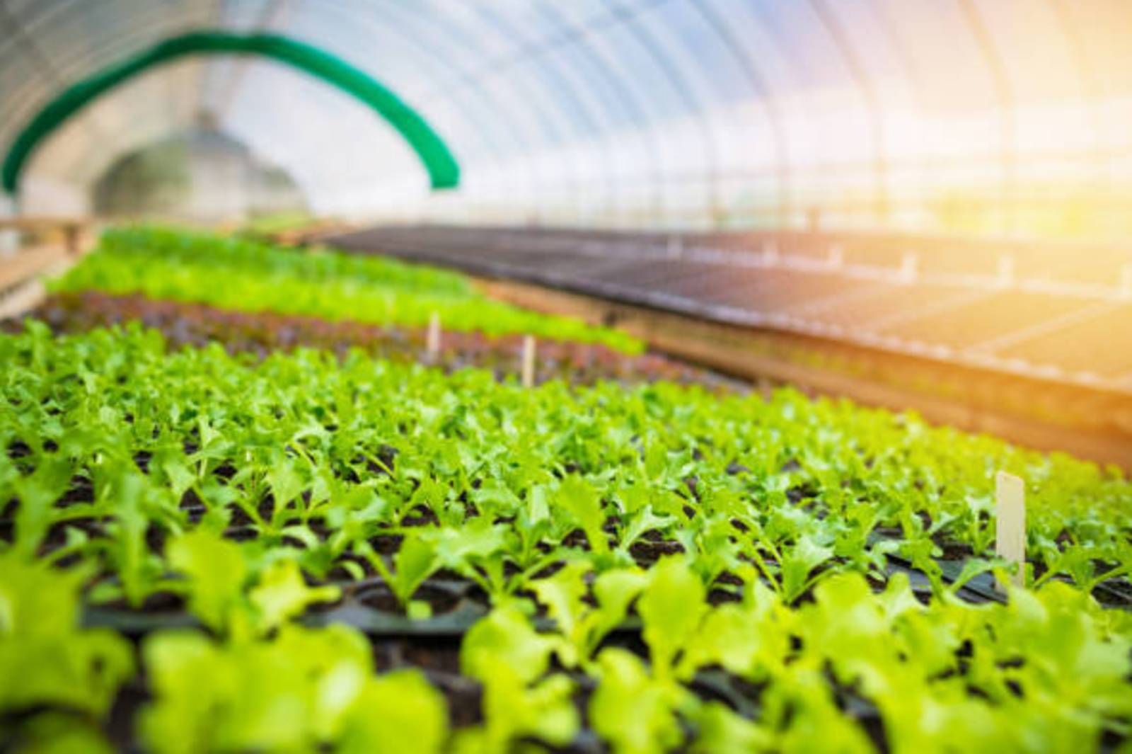 精準農業 - 無人農場