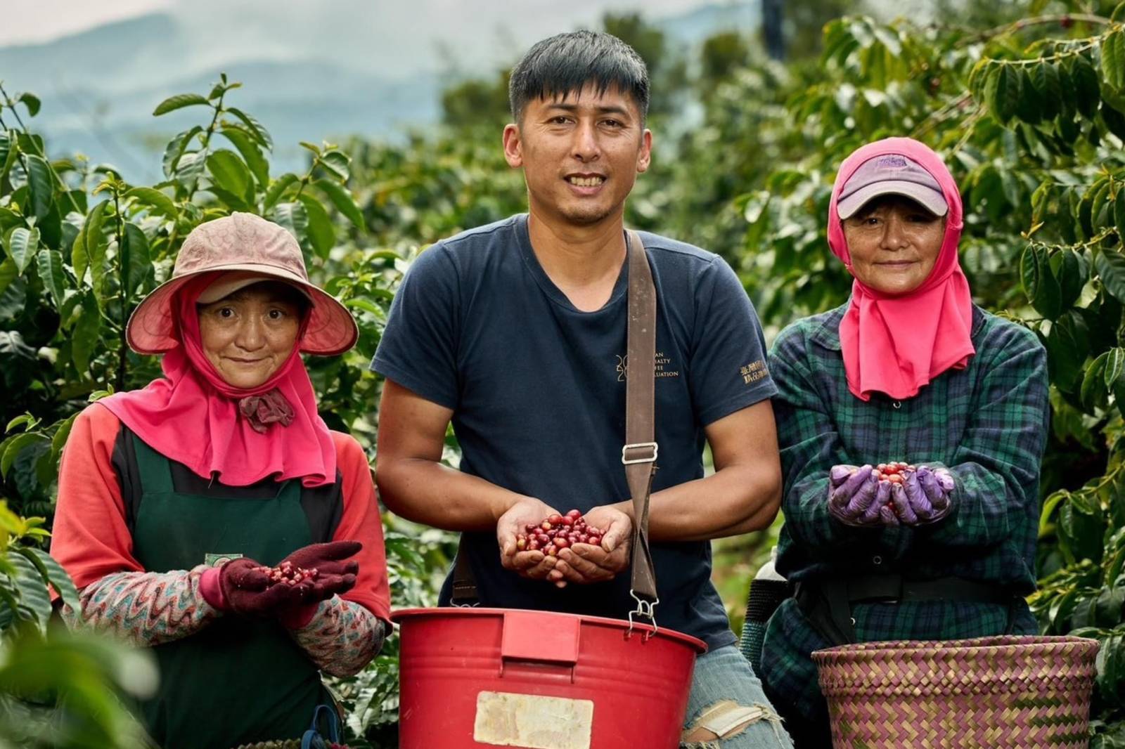 阿里山咖啡凝聚青農向心力