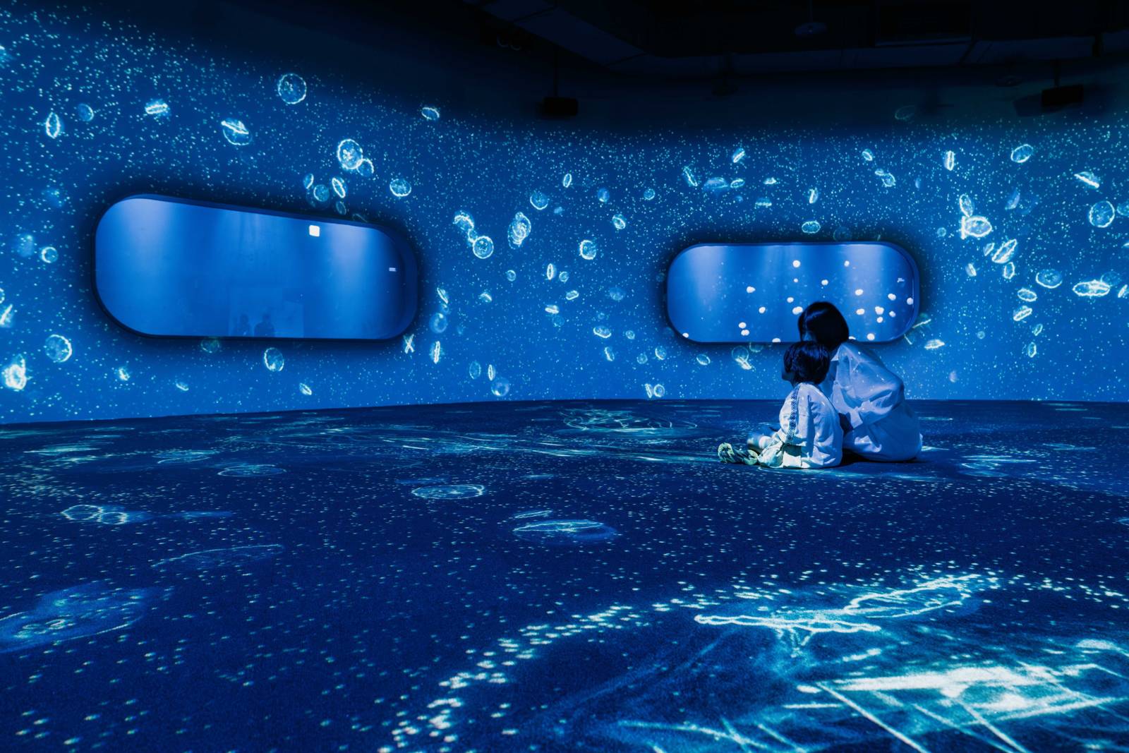 感受化身為魚的奇幻旅程