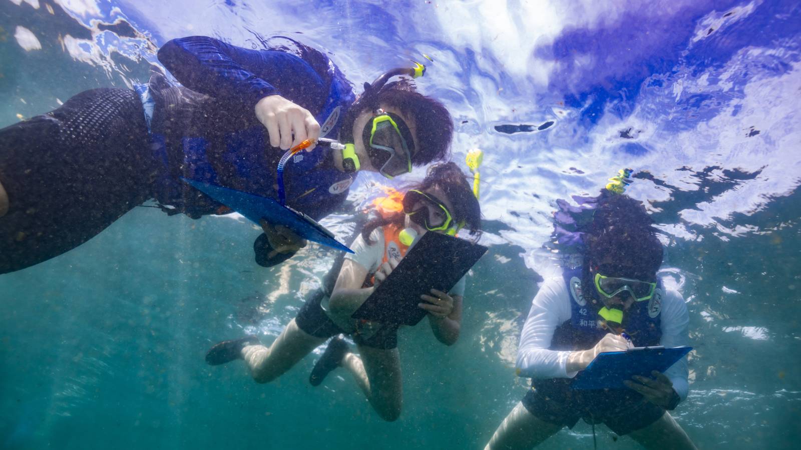 守護海洋珊瑚計畫-緯穎永續基金會支持戶外教學